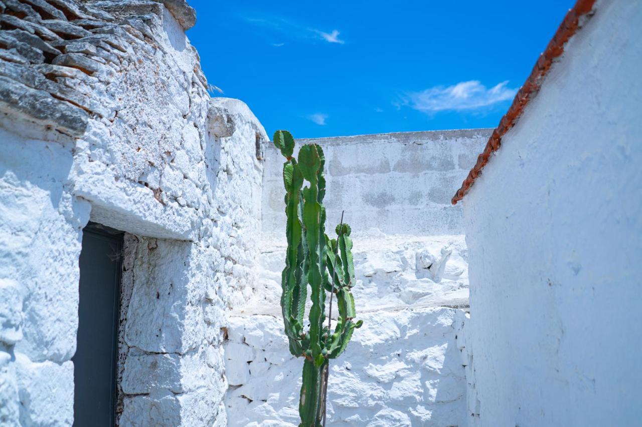 Masseria Donna Coletta โนซิ ภายนอก รูปภาพ